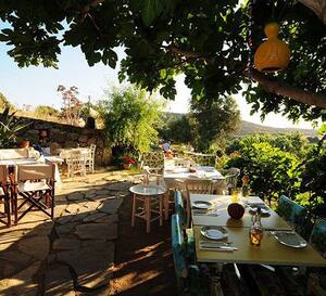 Limon Gumusluk Gumusluk Bodrum